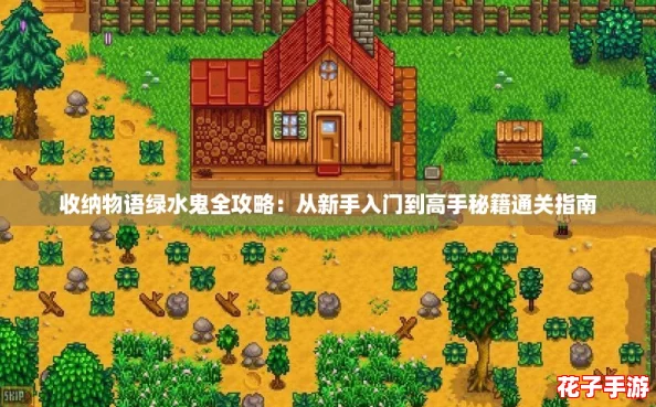 收纳物语绿水鬼全攻略：从新手入门到高手秘籍通关指南