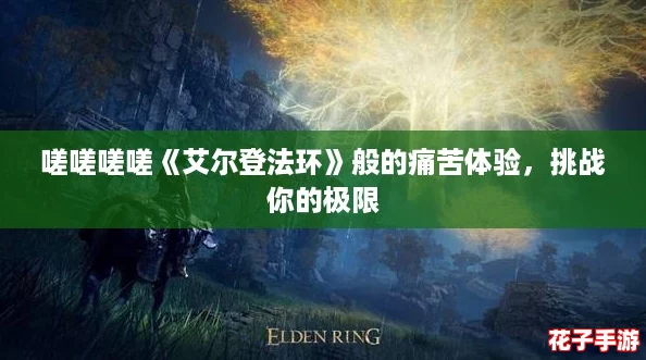 嗟嗟嗟嗟《艾尔登法环》般的痛苦体验，挑战你的极限