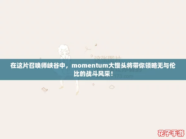 在这片召唤师峡谷中，momentum大馒头将带你领略无与伦比的战斗风采！