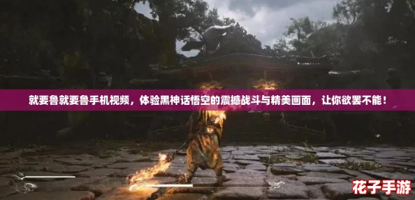 就要鲁就要鲁手机视频，体验黑神话悟空的震撼战斗与精美画面，让你欲罢不能！
