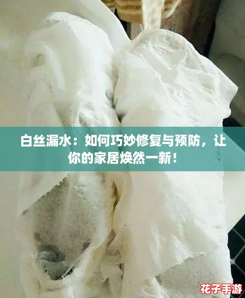 白丝漏水：如何巧妙修复与预防，让你的家居焕然一新！