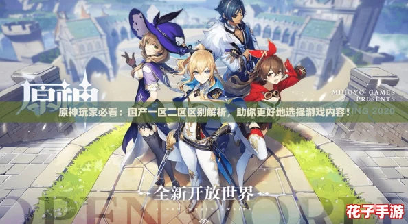 原神玩家必看：国产一区二区区别解析，助你更好地选择游戏内容！