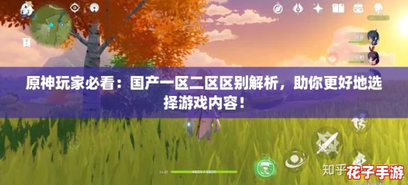 原神玩家必看:国产一区二区区别解析,助你更好地选择游戏内容! 原神玩家必看:国产一区二区区别解析,助你更好地选择游戏内容!