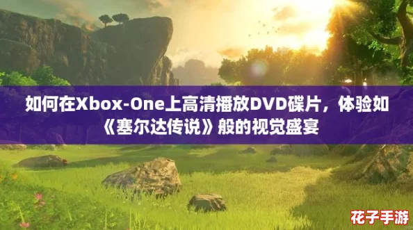 如何在Xbox-One上高清播放DVD碟片，体验如《塞尔达传说》般的视觉盛宴